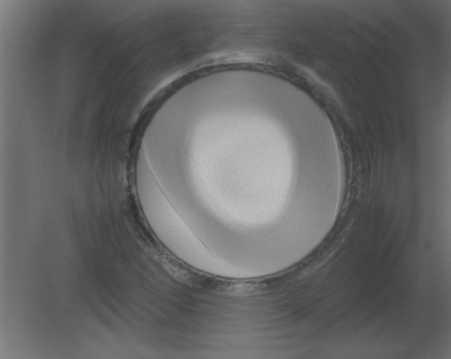 X0000080801166200701122207