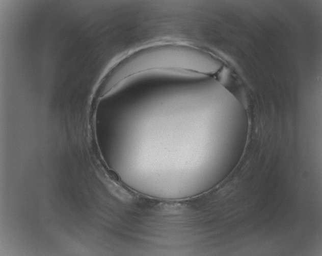 X0000080801168200701122207