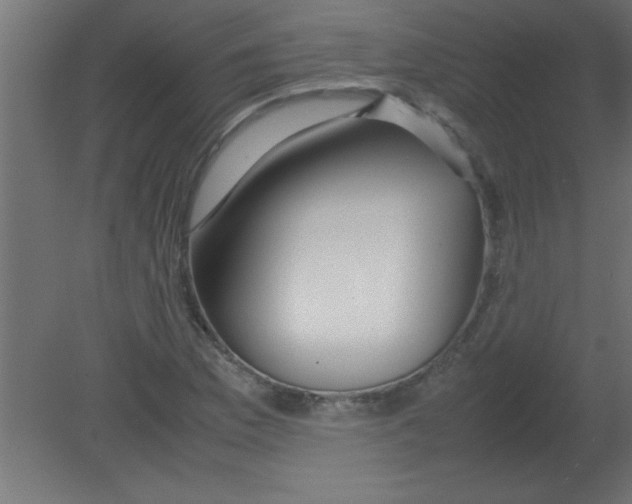 X0000080801169200701122207