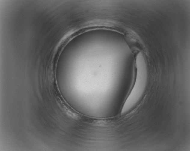 X0000080801172200701122207