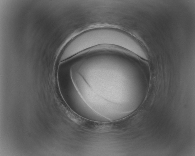 X0000080801173200701122207