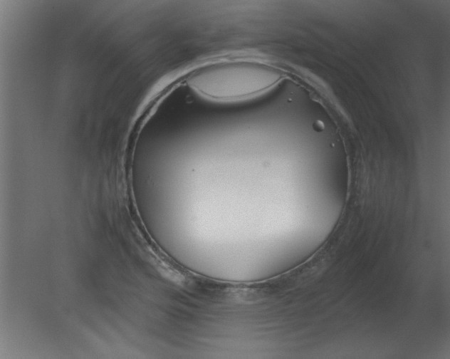 X0000080801176200701122207