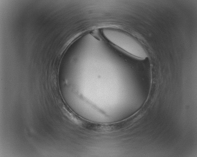 X0000080801177200701122207