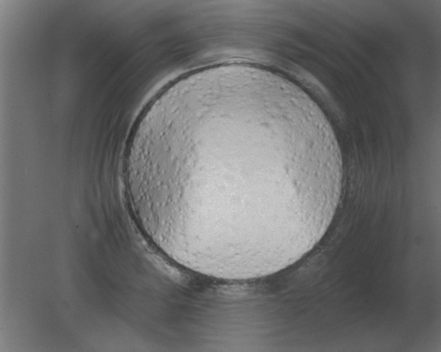 X0000080801182200701122207