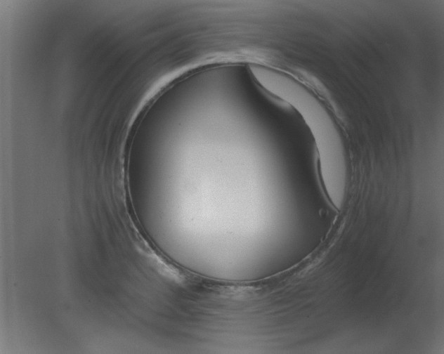 X0000080801184200701122206