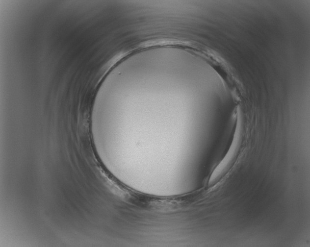 X0000080801185200701122206
