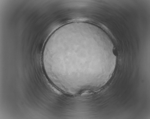 X0000080801186200701122206