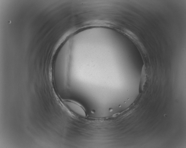 X0000080801188200701122206