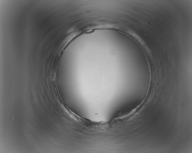 X0000080801193200701122206