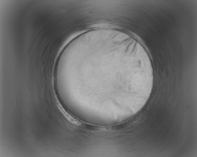X0000080801195200701122206