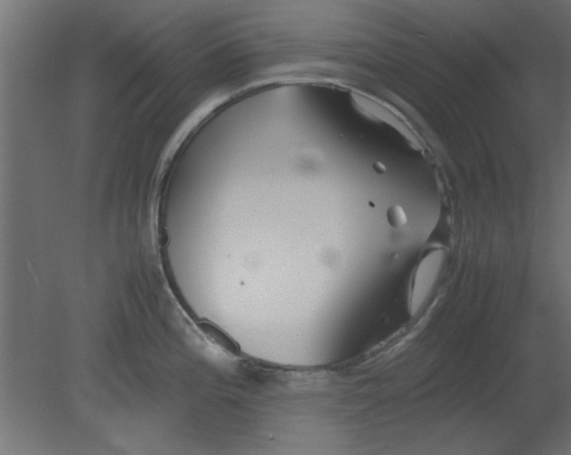 X0000080801196200701122206