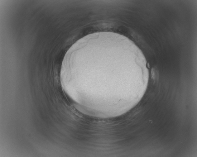 X0000080801203200701122205