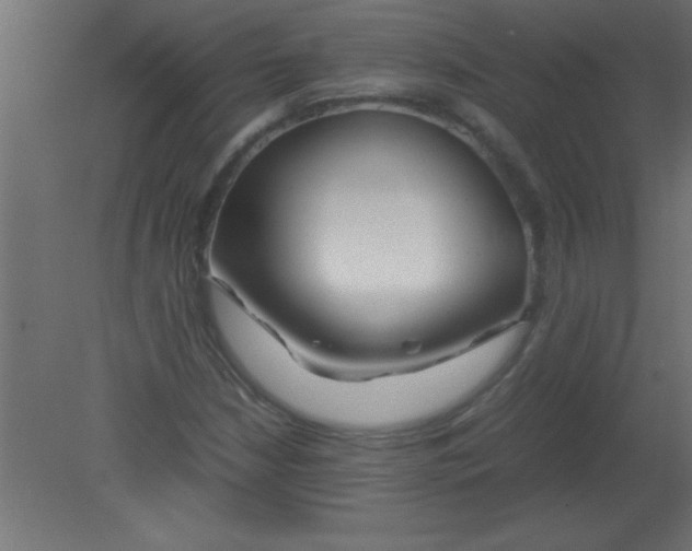 X0000080801210200701122206