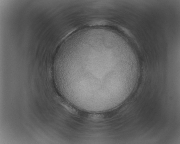 X0000080801217200701122206