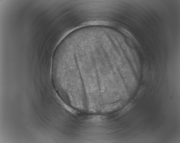 X0000080801228200701122206