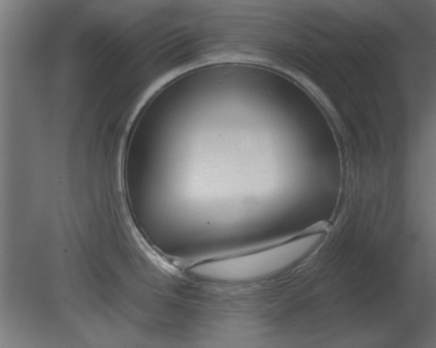 X0000080801246200701122206