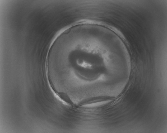 X0000080801247200701122206
