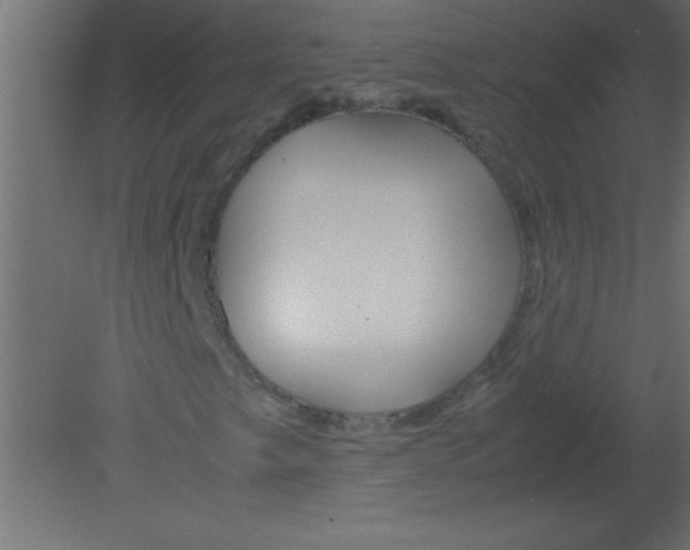 X0000080801249200701122205