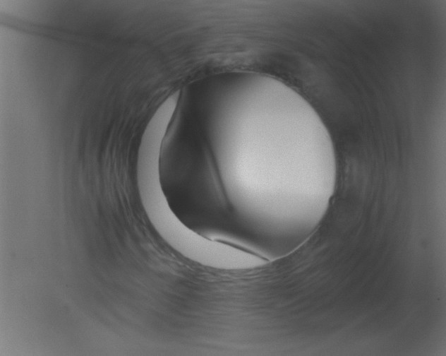 X0000080801250200701122205