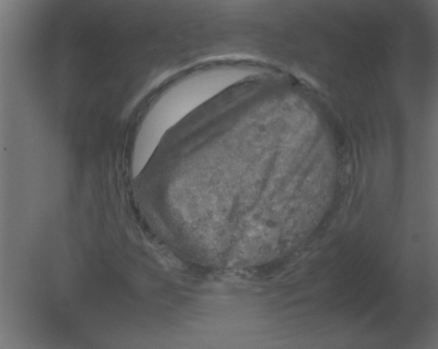 X0000080801255200701122205