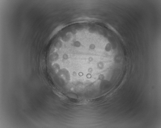 X0000080801259200701122205