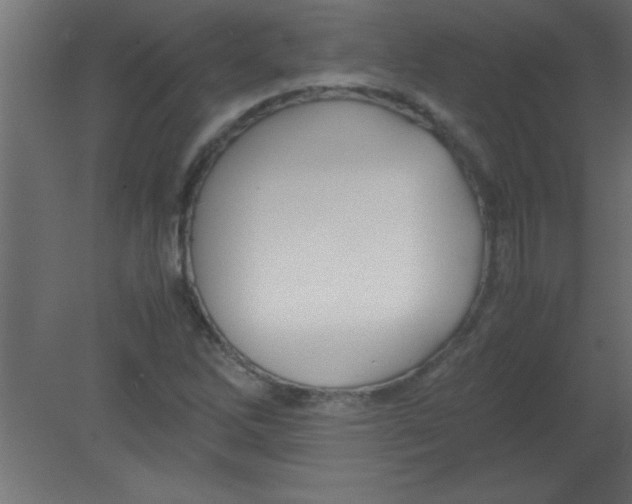 X0000080801262200701122205