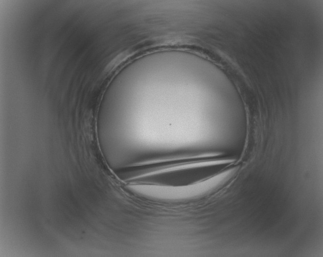 X0000080801265200701122205