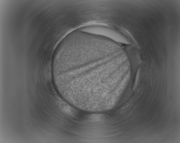 X0000080801268200701122205