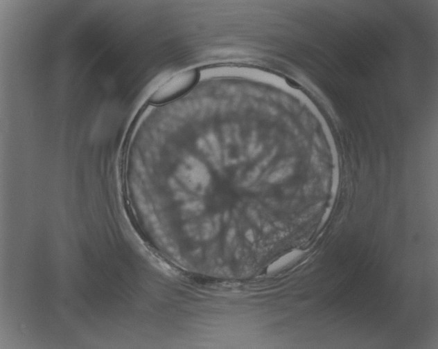 X0000080801291200701122205