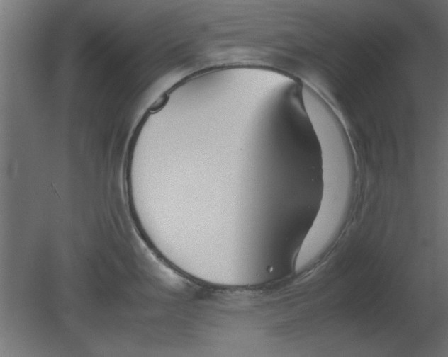 X0000080801293200701122205