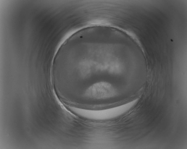 X0000080801295200701122205