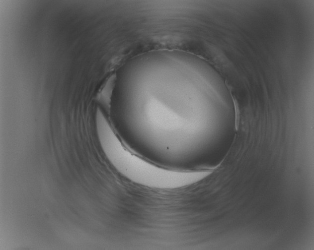 X0000080801298200701122204
