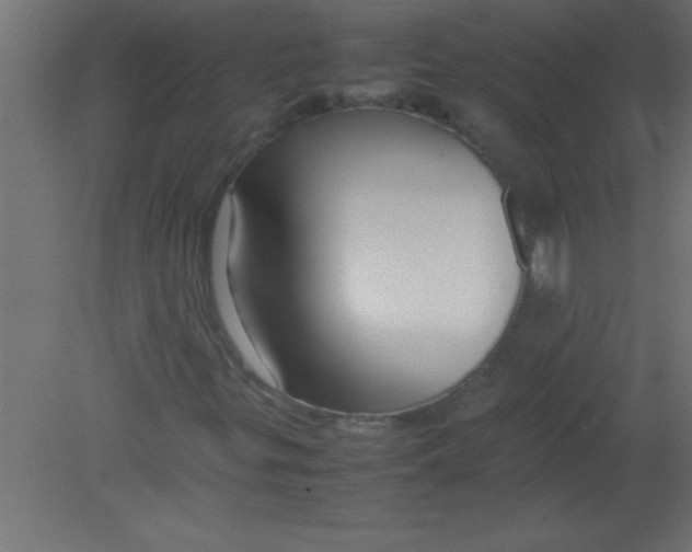 X0000080801299200701122204