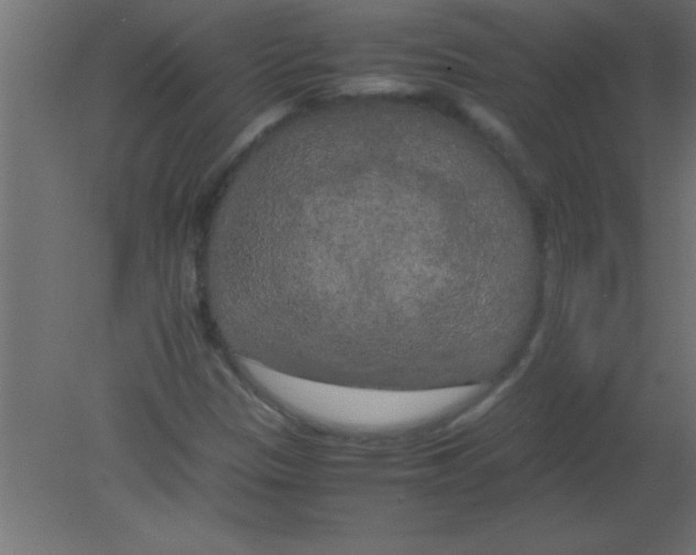 X0000080801305200701122204
