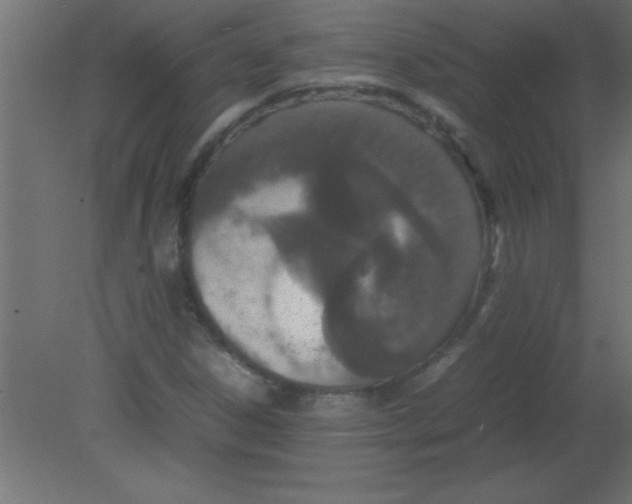 X0000080801306200701122204
