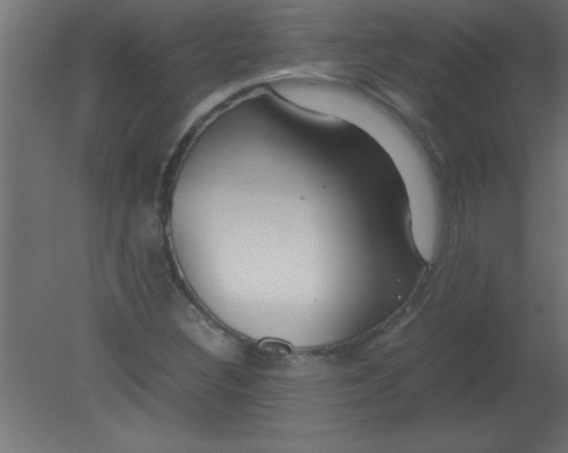 X0000080801308200701122204