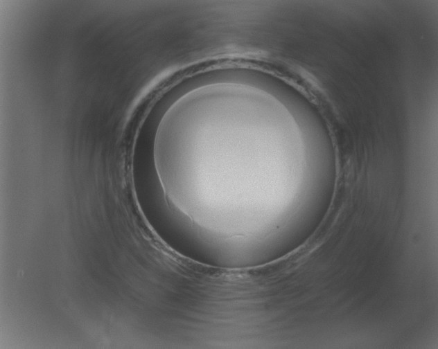 X0000080801310200701122204