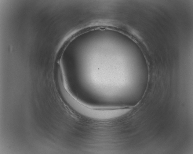 X0000080801312200701122204