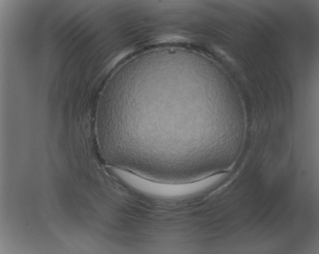 X0000080801313200701122204