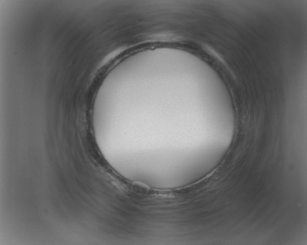 X0000080801315200701122204