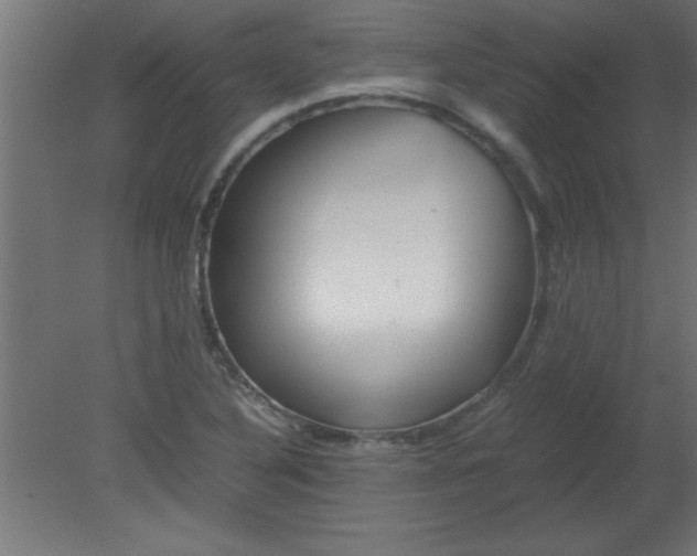 X0000080801316200701122204