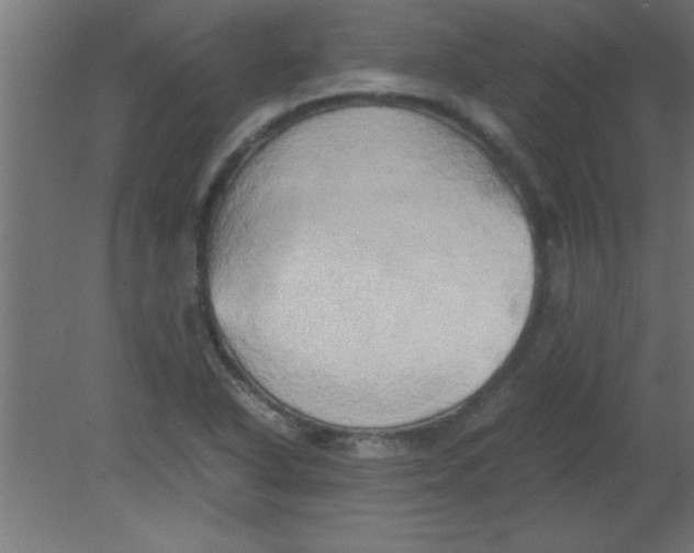 X0000080801318200701122204