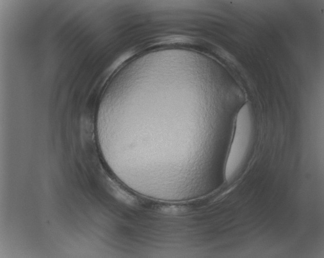 X0000080801321200701122204
