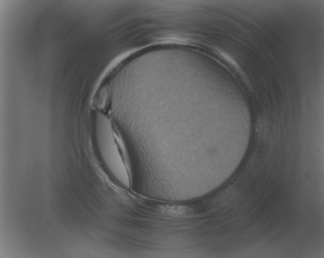 X0000080801323200701122204