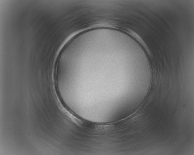 X0000080801339200701122204
