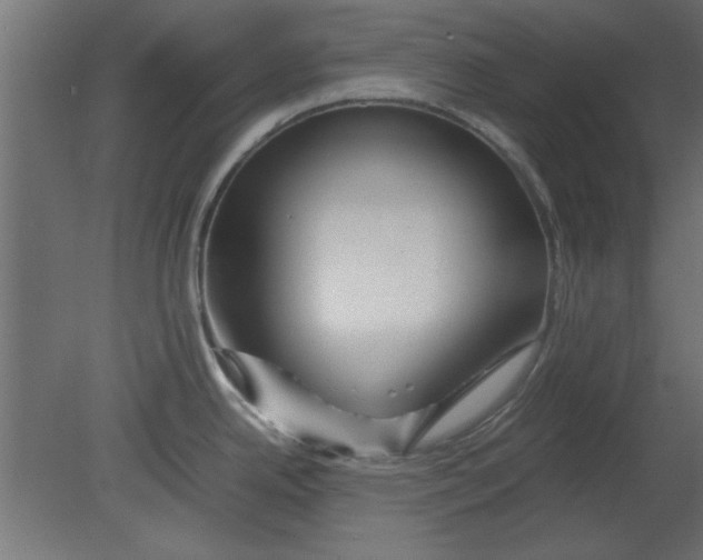 X0000080801342200701122205