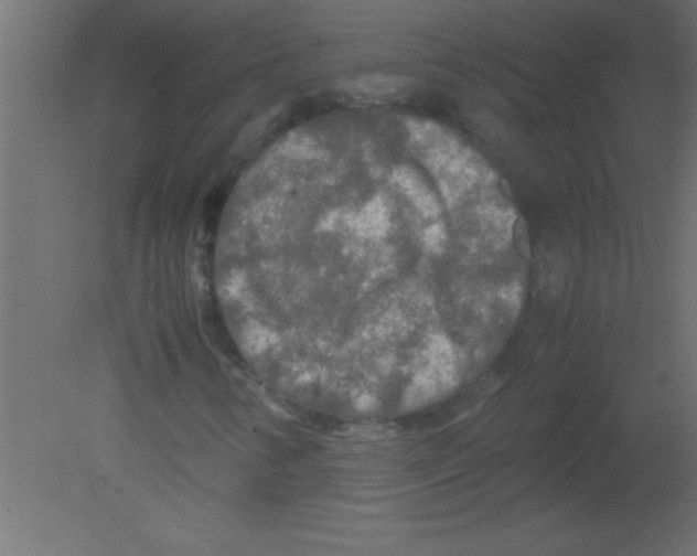 X0000080801346200701122204