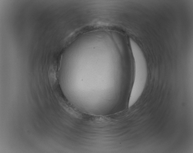 X0000080801348200701122204