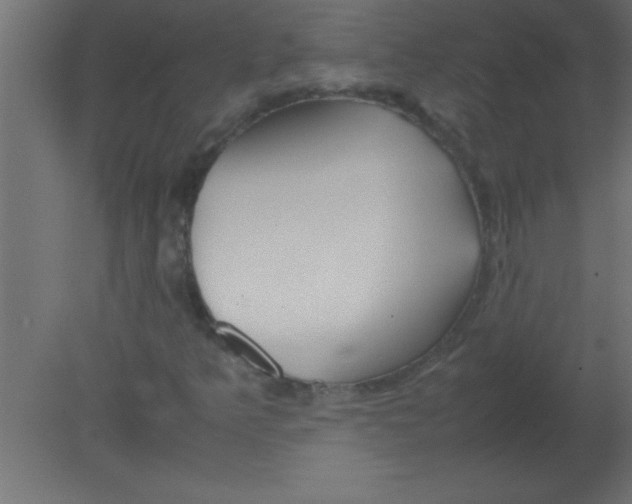 X0000080801349200701122204