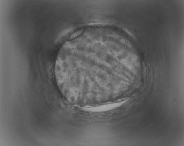 X0000080801351200701122204